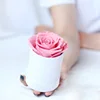 Rosa (Scatola bianca)