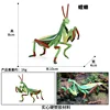 Mantis M-1674 colorido