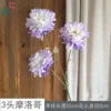 3 Moroccan TY Purple