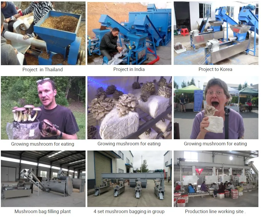 Полностью автоматическая машина для наполнения пакетов для выращивания грибов, оборудование для инокуляции грибов по заводской цене