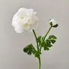 blanco # 2
