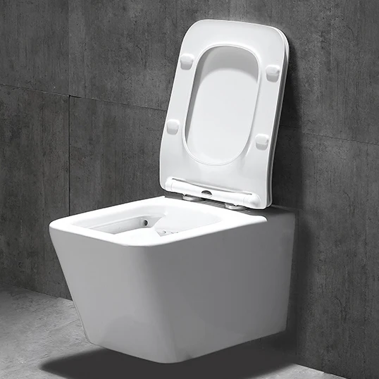 Empolo Sanitary Ware Hidden Cistern Ceramic Wall Hang Toilets European