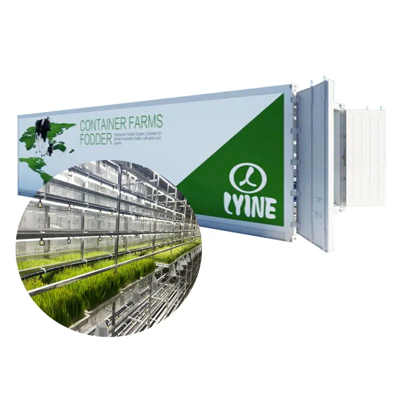 New Arrival Model Hydroponic Seeds Germinate Machine/green Fodder Making Barley Breeding Room/grass Bud
