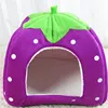 Púrpura
