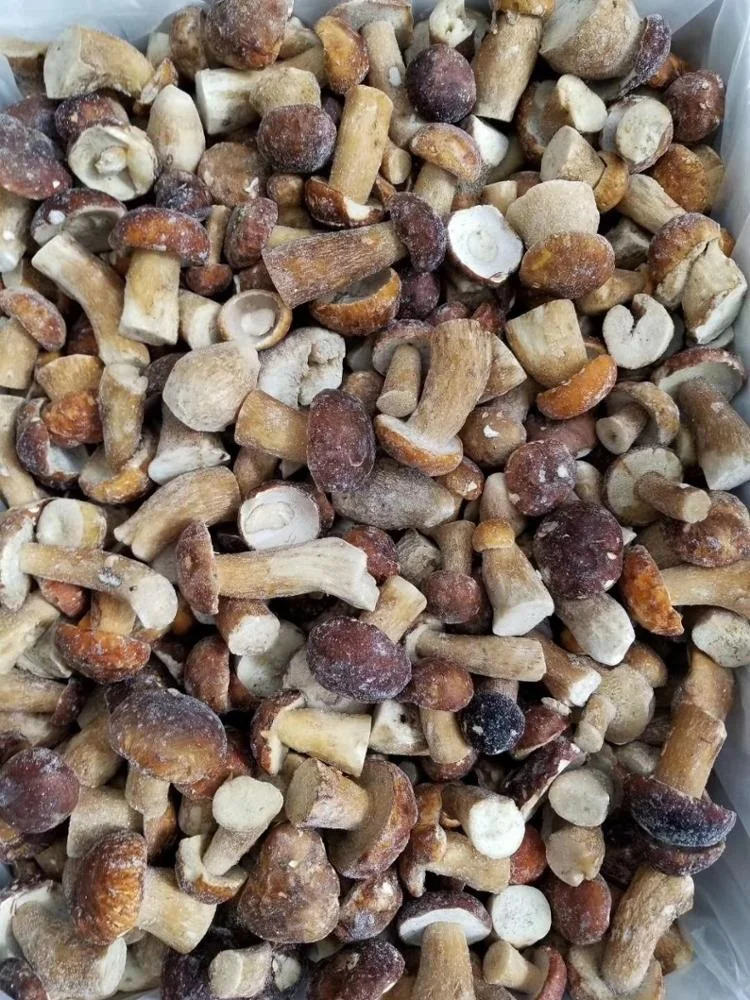 
 Заводская цена, Премиум качество, замороженный болёс эдулис, целый 2-4 см  