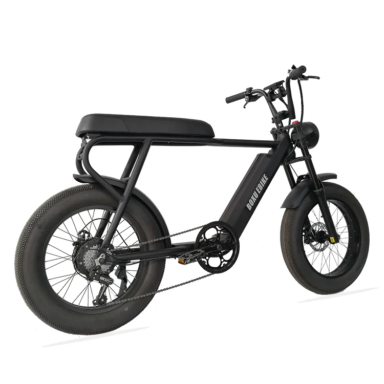 Vélo électrique double siège 20 pouces 4.0 gros pneu e vélo puissant vélo électrique gros vélo