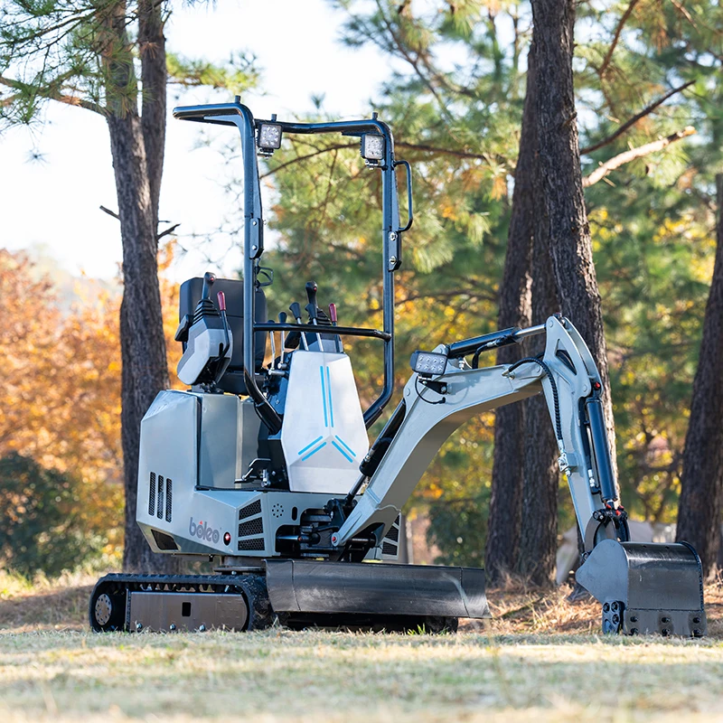 Boleo Direct Sale Mini Digger Operating Weight 1 Ton Euro 5 Crawler Rubber Track Mini Excavators With CE EPA