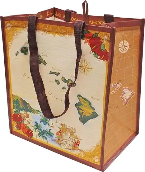 Foldable Reusable Bag for Grocery Groceries Promotion Eco-friendly Non Woven Design Shop Shopping Bag Grocery Bag Plain Foldable details