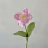 Flap silk tulip pink