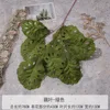 FS-Lotus Leaf-Green