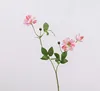 Rose Pink