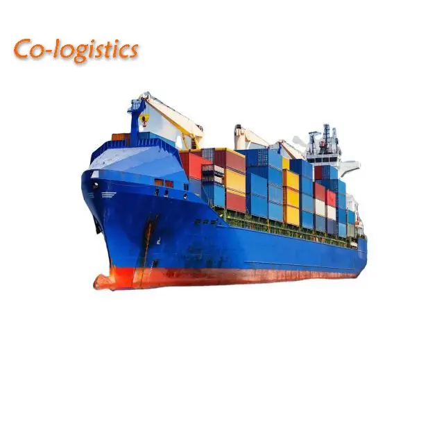Shipping Forwarder Service From China to Mumbai India