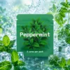 Menta
