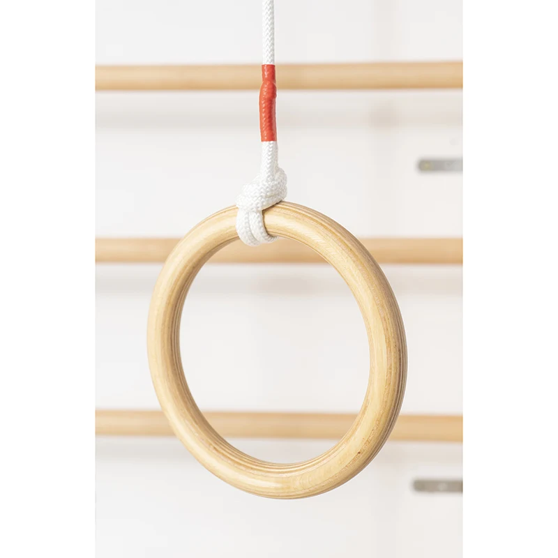 Swedish Ladder Wall Monkey Bars - Gymnastic Fun for Kids