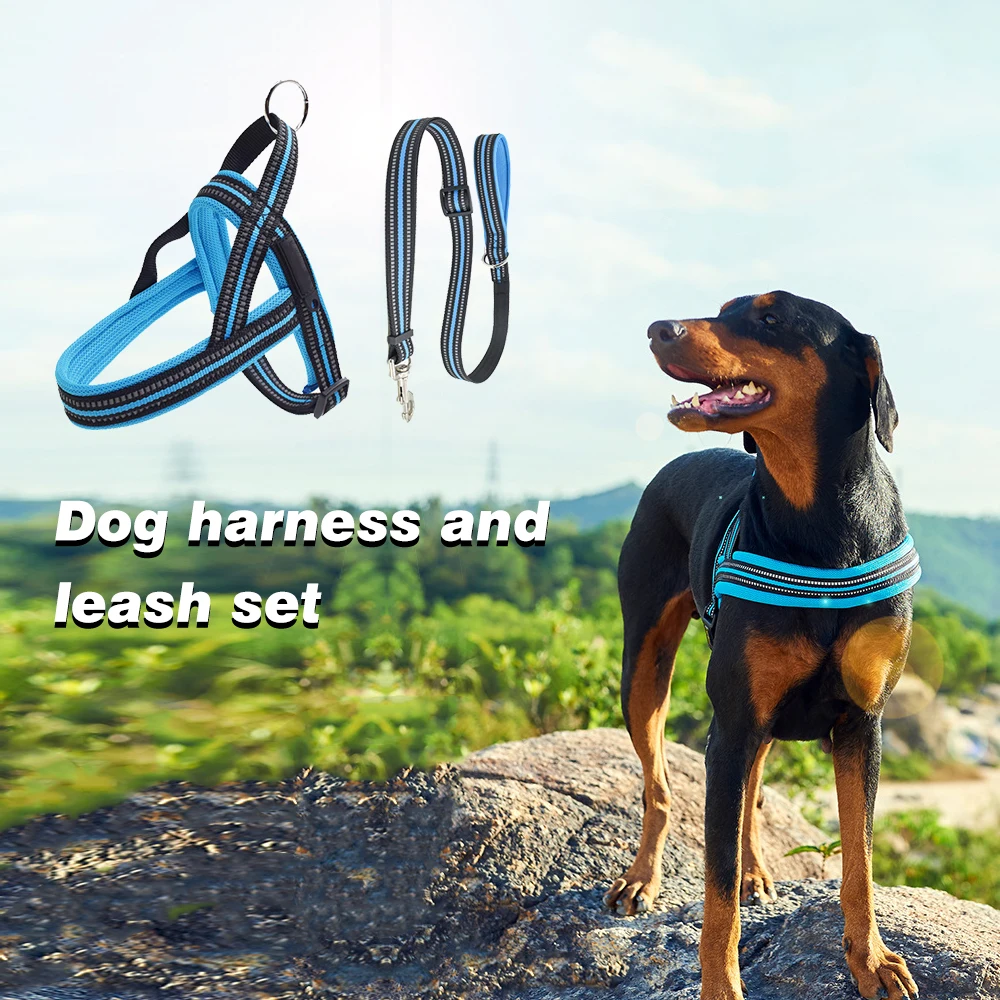 Dog harness leash 