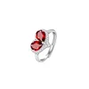 JH0412-5Garnet