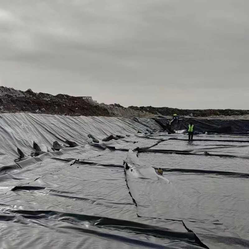 0.5mm 1mm 1.5mm Plastic Waterproof Aquaculture Geomembrane Hdpe Liner Fish Farm Wholesale Geomembrane Pond Liner