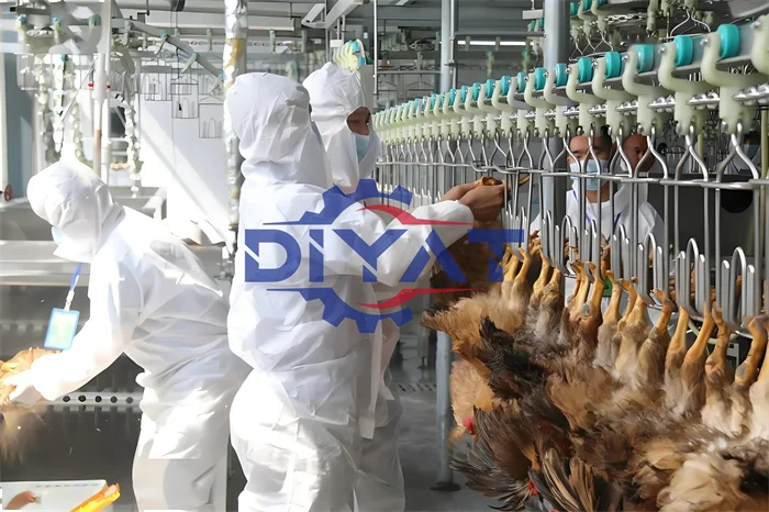 Slaughtering Equipment For Slaughterhouse Production Line Poultry ...