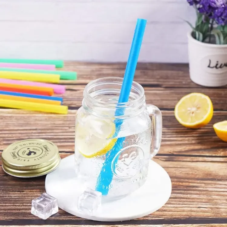 Bubbletea 10 Pailles à Thé à Bulles Réutilisables - 255x13mm - Avec 2 Brosses De Nettoyage