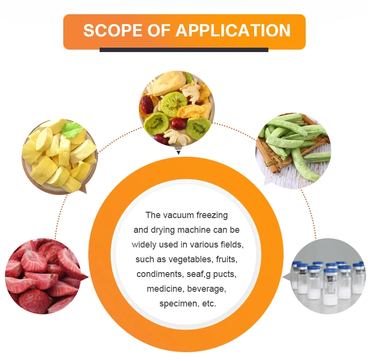 Vacuum Freeze Dryer Food Fruit And Vegetable Slices Freeze Dryer Pet