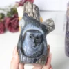 Ágata Volcánica