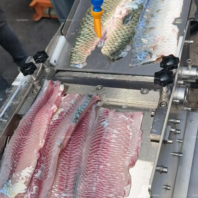 Fully Automatic Fish Skin Peeler Machine | Easy-Clean Skinning ...