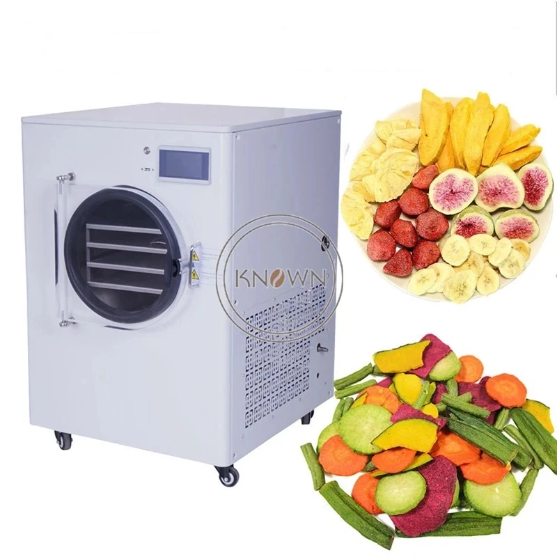 Freeze Dryer Small Food Freeze Drying Machines