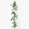 Nordic willow vine