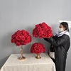 Rosso 8