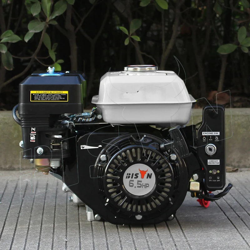 BISON Small China 168f 1 6.5hp Gasoline Engine with Clutch