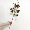 FA80008-red