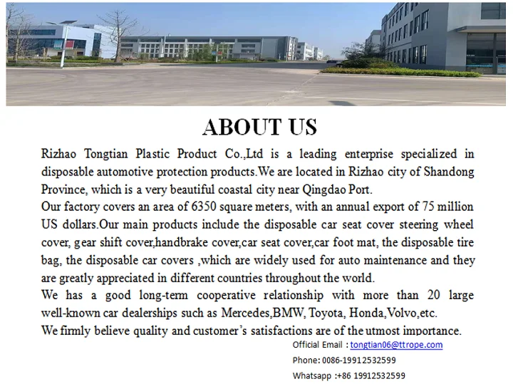Company info.png