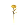 Yellow (Macron)