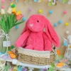 Red bunny