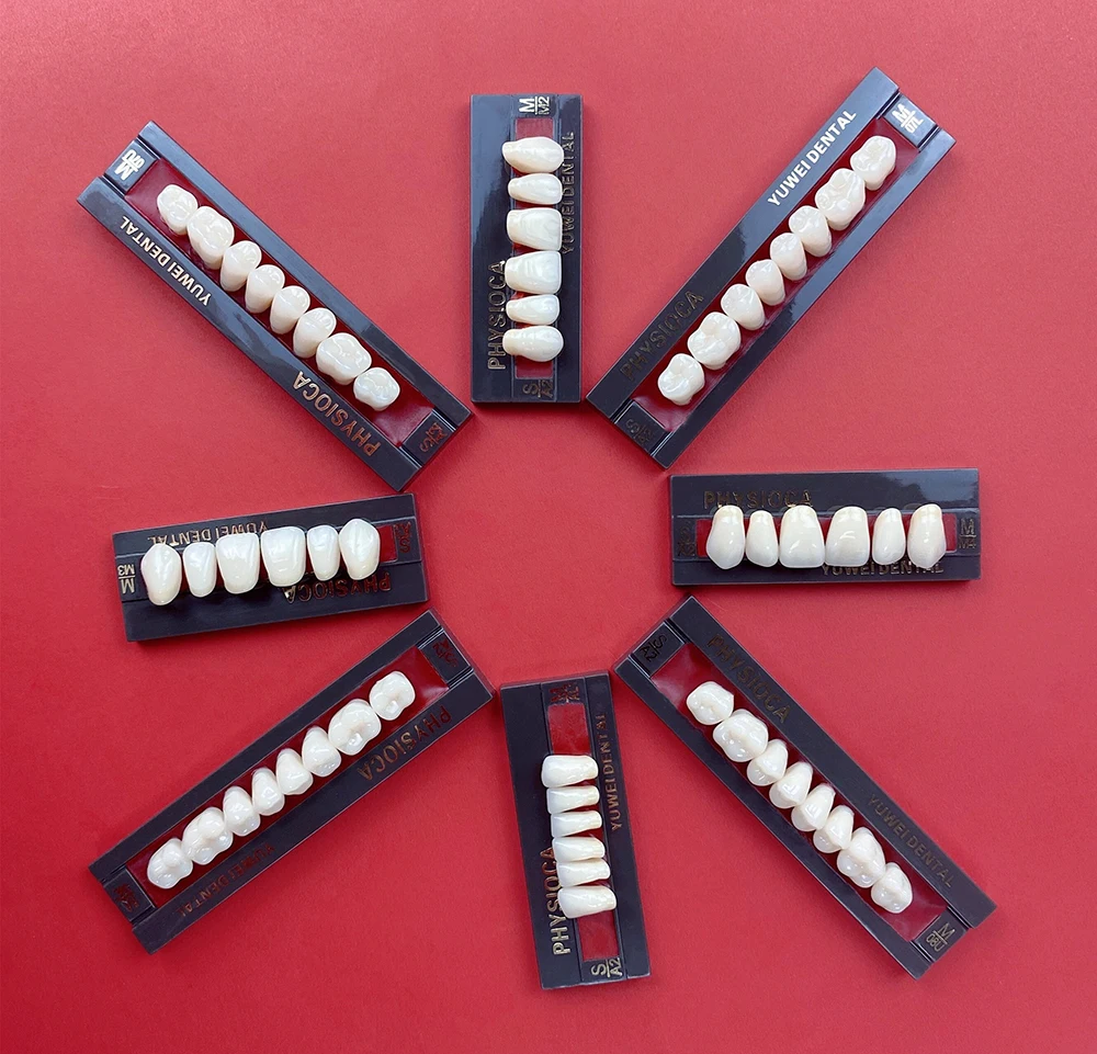 dental-false-teeth-synthetic-resin-teeth-dental-polymer-tooth-with-iso