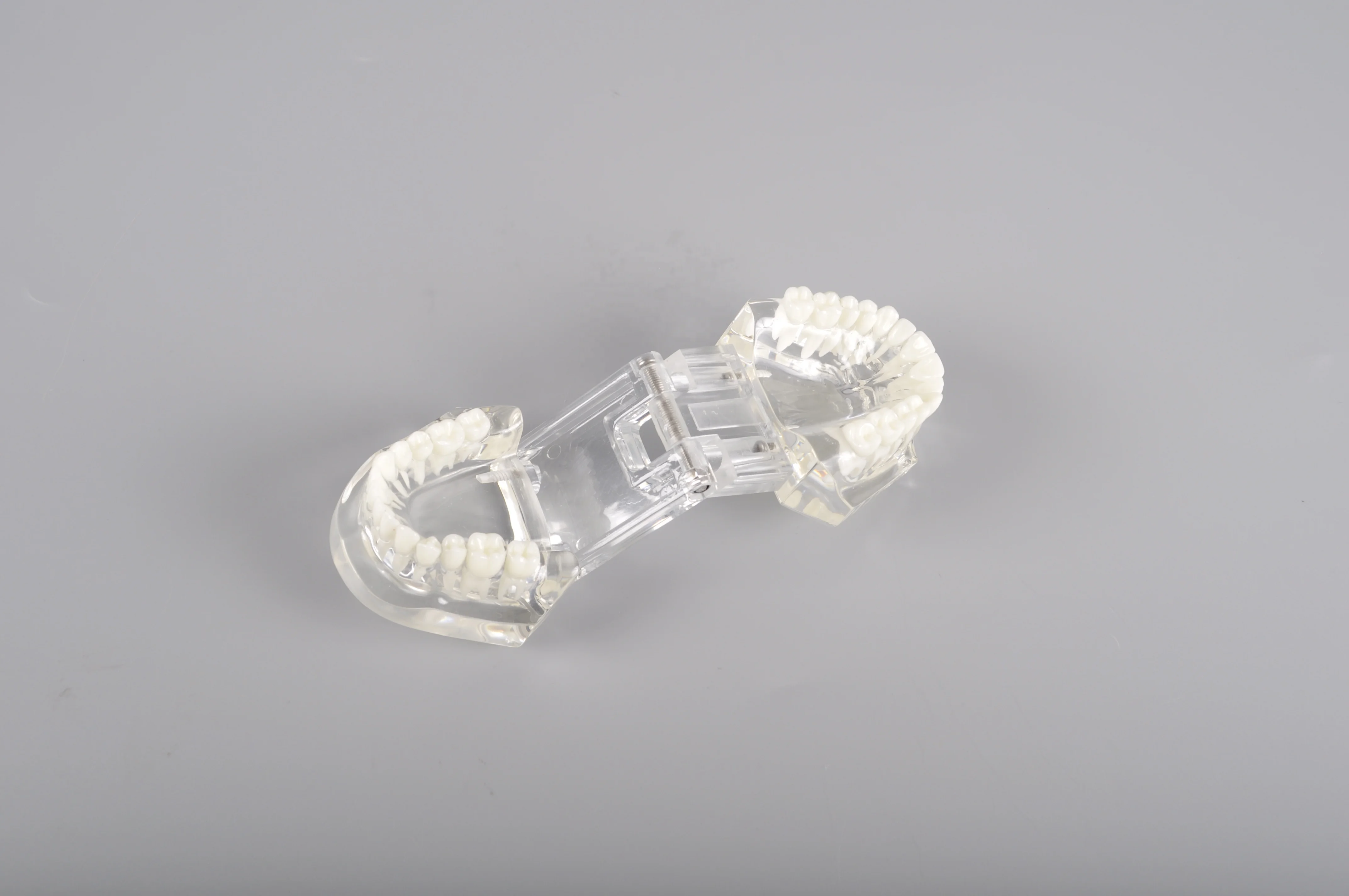 A7001 Transparent Color Standard Model Teeth Model for Brackets Demonstration