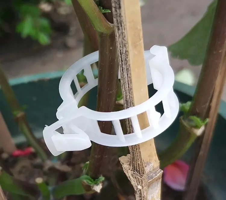 GREENHOUSE GROWING GRAFTING VINING VEGETABLES CLIPS TRELLIS TOMATO VINE CLIP