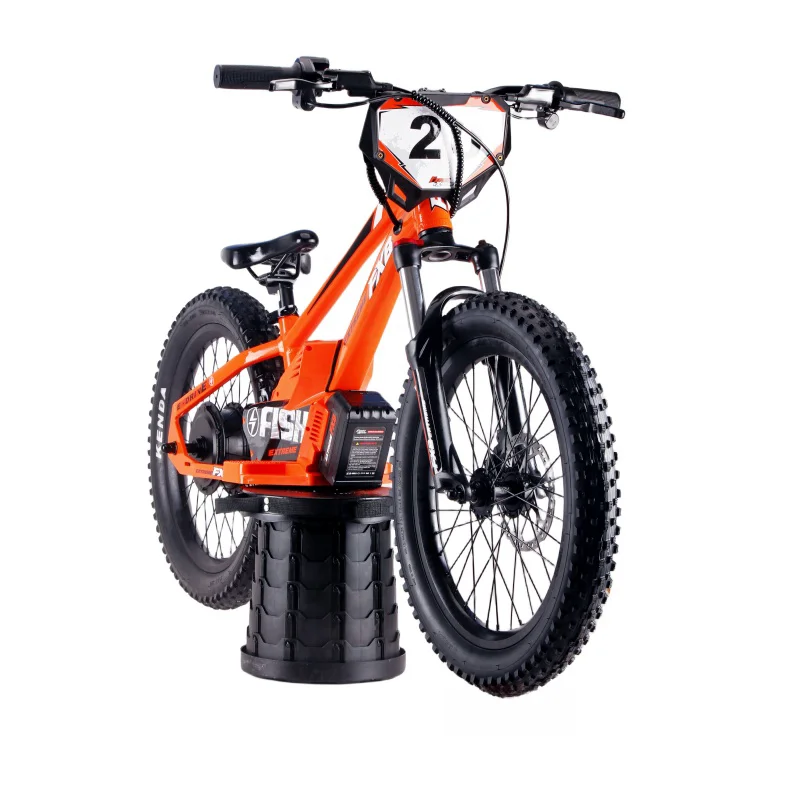 Good Seller 20inch Kids Bike Two Wheel Balance Bike Smart Balance Electric  Power Children Bike