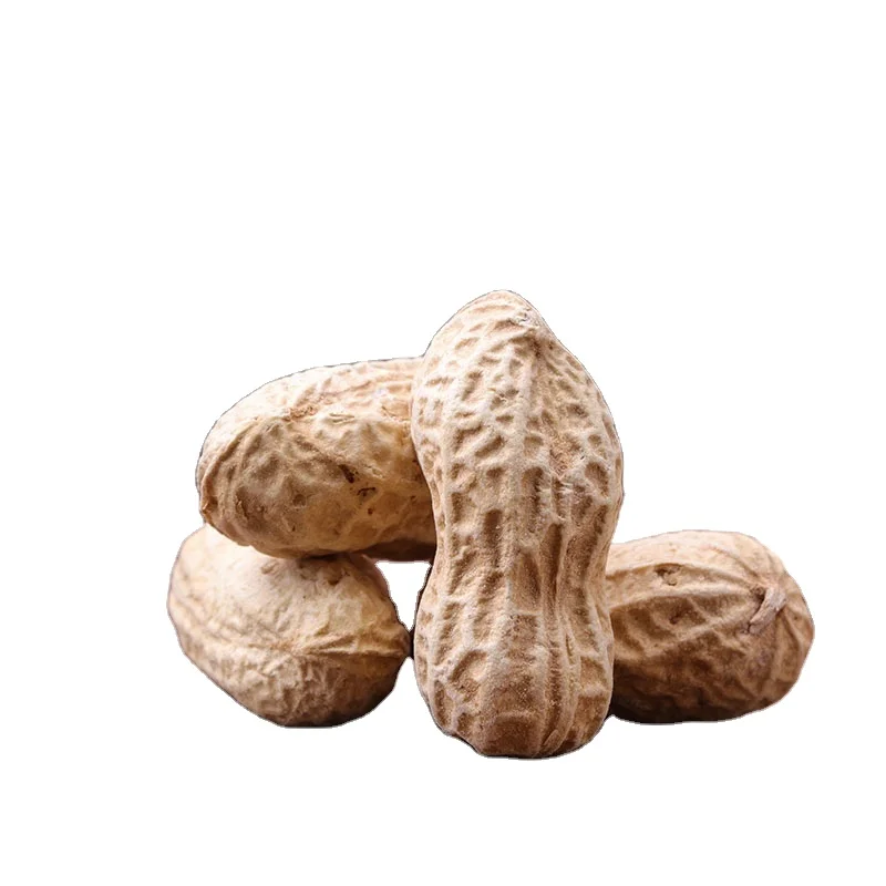 Promotional Various Good Quality in Shell Peanut Bulk Peanuts in Shell Chinese Cheapest Peanut in Shell