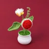 sunflower potted plant (bean green leaves)