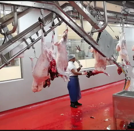 Mutton slaughtering technology slaughterhouse slaughtering equipment with carcass conveyor guide