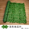 LB light-colored sweet potato leaf hedge