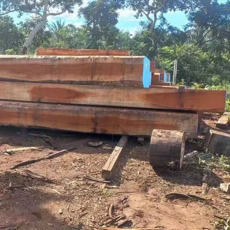 High Quality JATOBA Timber and the Best Price of Timber From South America