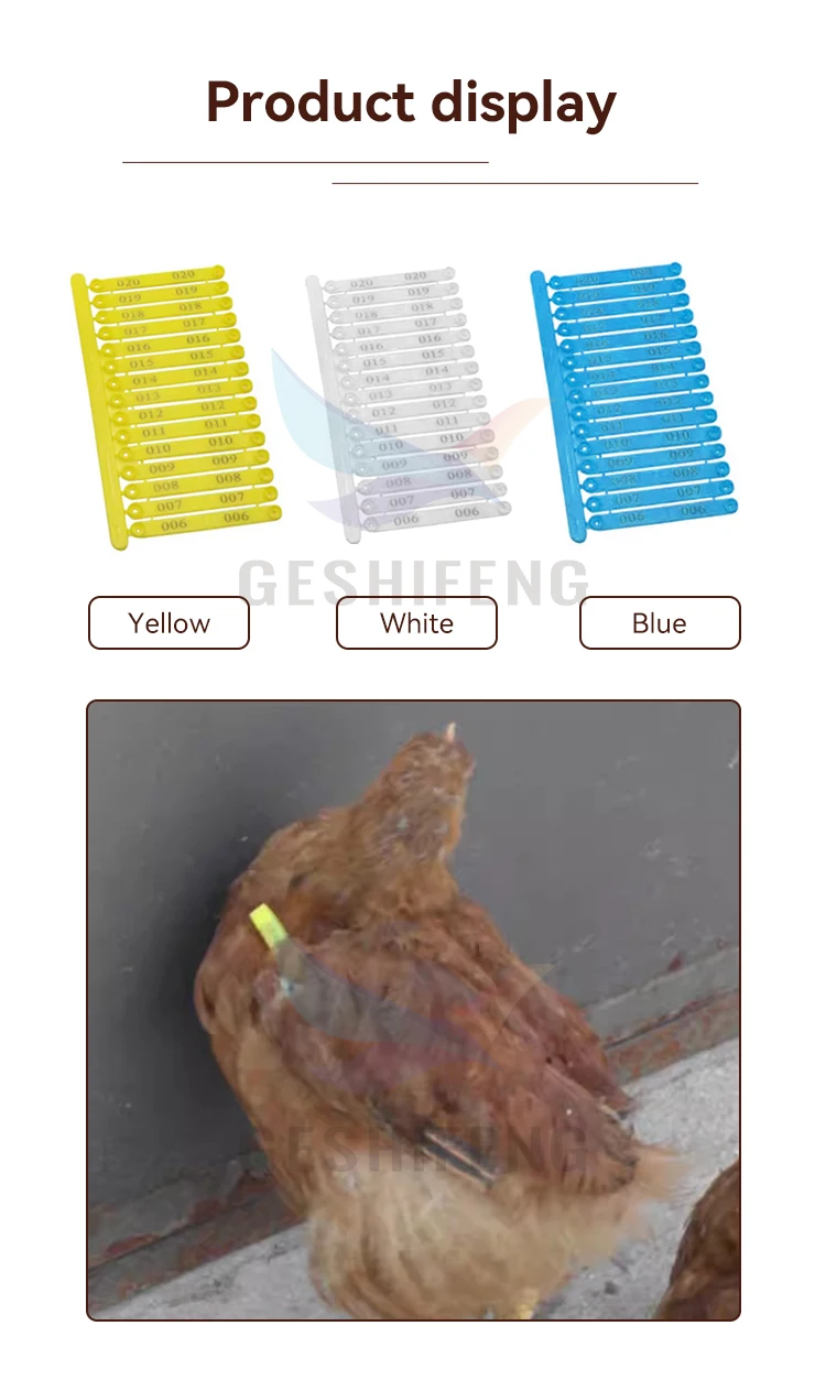 Poultry Identification Tags - Efficient Farm Management