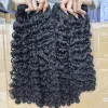 burmese curly