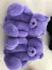 Viola