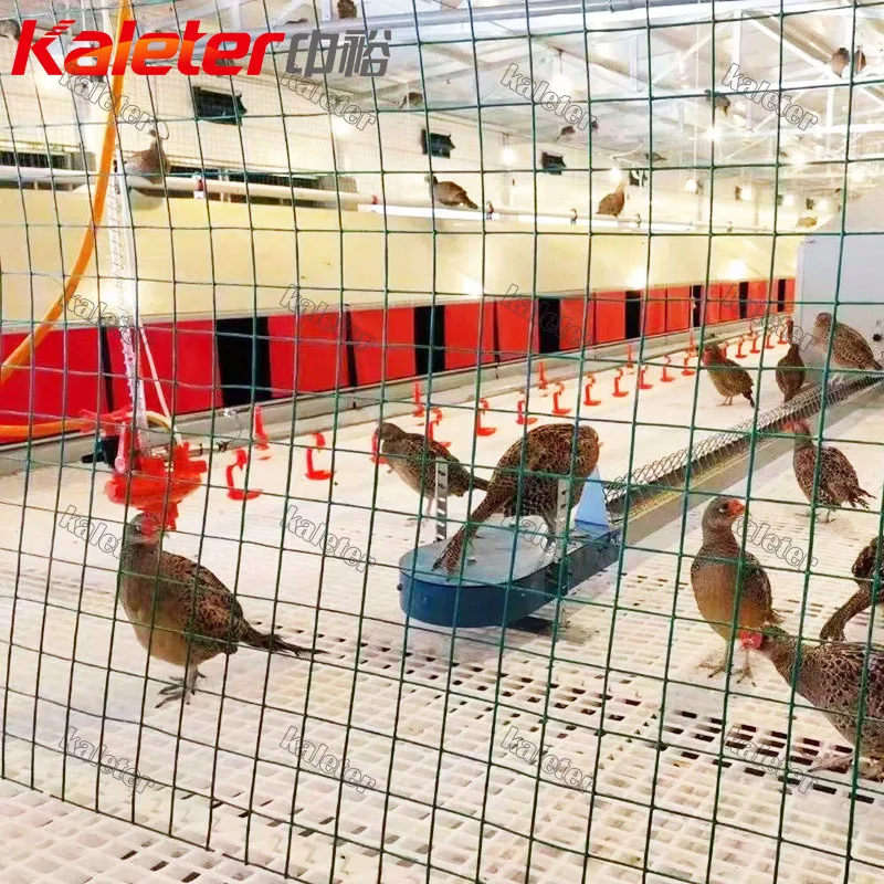 Breeders Hen Nesting Box Automatic Egg Collecting Machine System Poultry Farm Chickens Equipment