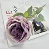 Violet d'automne