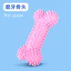 QW506 molar bone