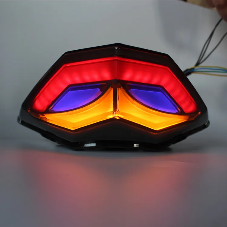 Kawasaki Ninja 250/300 Led Tail Lamp & Signal Light Odm | Wholesale